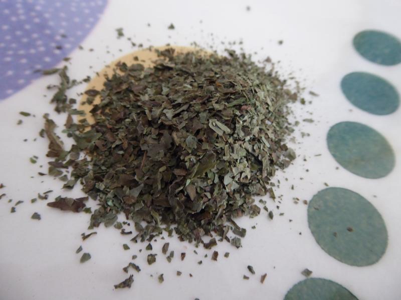 savia feuilles broyer savia feuilles broyer