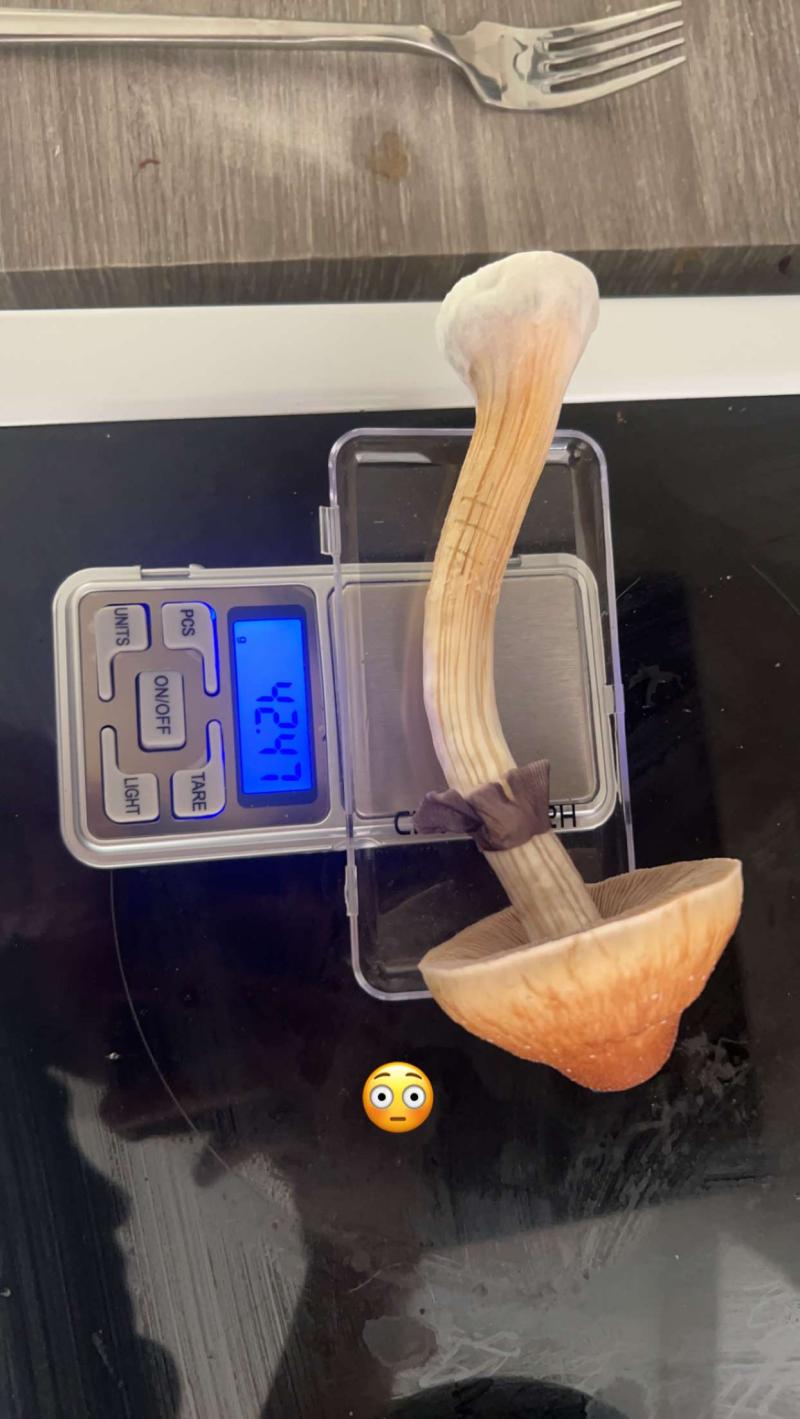 le b+ d’ailleurs le flush n’a que celui ci
