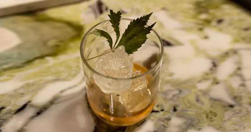 /forum/uploads/images/1723/consommation-alcool-cannabis-etats-unis.webp