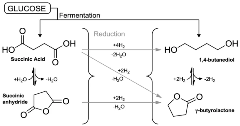 /forum/uploads/images/1725/butyrolactone-gblfrom-succinic-acid.webp