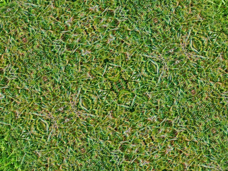 /forum/uploads/images/1740/lsd_grass_01.webp