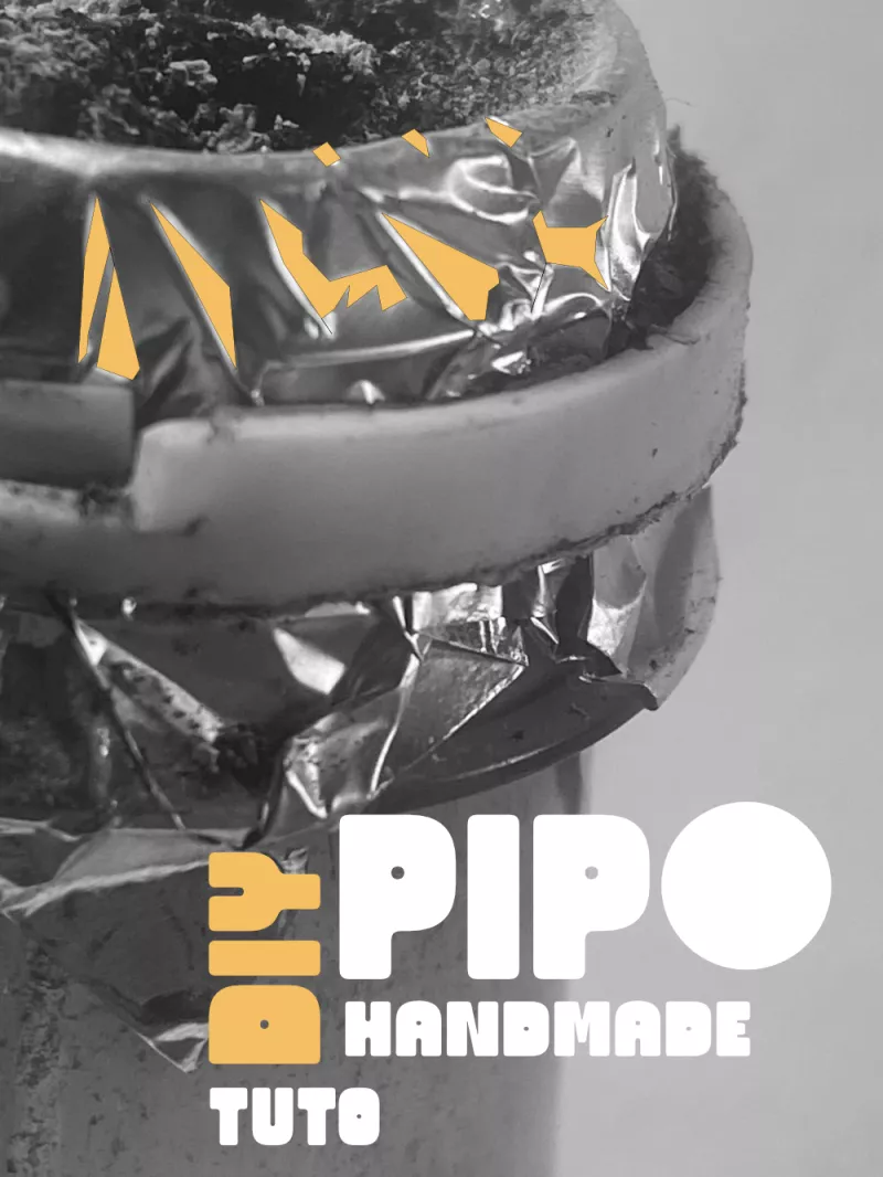 /forum/uploads/images/1788/pipo-une.webp