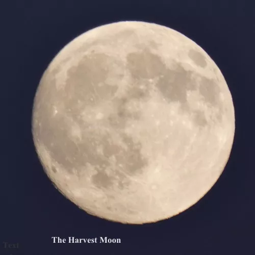 /forum/uploads/images/1790/harvest-moon.webp