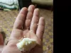 C'est quoi votre drogue de choix ?