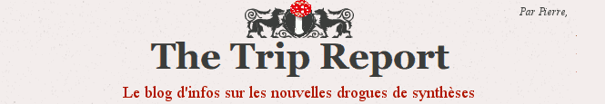 The Trip report : Toutes les infos sur les nouvelles drogues de synthèse