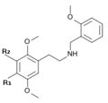 Vignette pour la version du 20 avril 2013 à 00:41