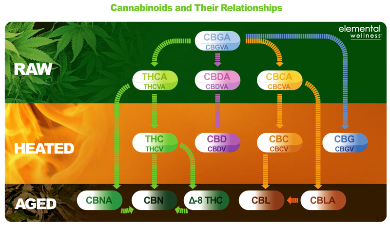 Fichier:Cannabinoids et leur relation.png