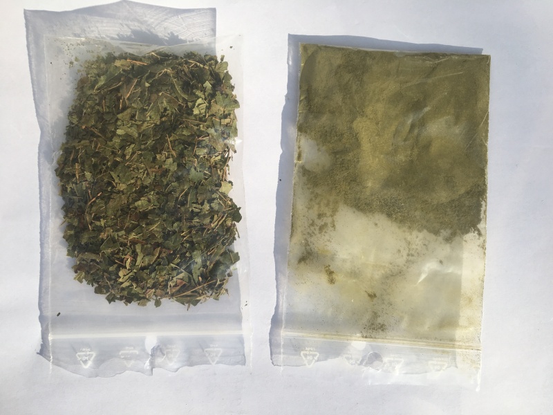 Fichier:Kratom poudre.jpg